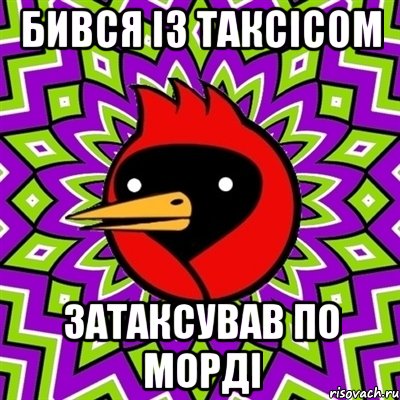 Бився із таксісом затаксував по морді, Мем Омская птица