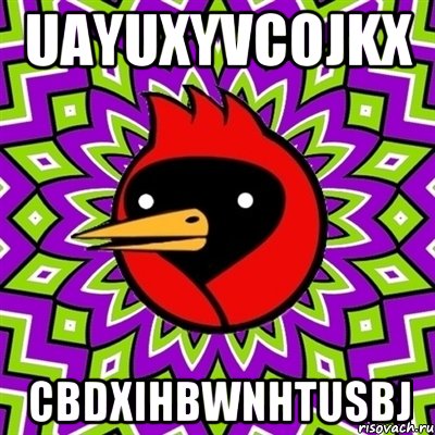 UaYUXyVcojKX cbDXiHBWnHTUSBj, Мем Омская птица