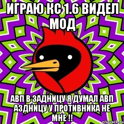 играю кс 1.6 видел мод авп в задницу я думал авп аздницу у противника не мне !!, Мем Омская птица