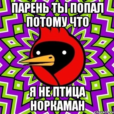 парень ТЫ ПОПАЛ ПОТОМУ ЧТО Я НЕ ПТИЦА НОРКАМАН, Мем Омская птица