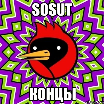 Sosut Концы, Мем Омская птица