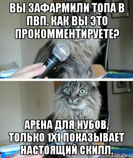 Вы зафармили топа в пвп. Как вы это прокомментируете? Арена для нубов, только 1х1 показывает настоящий скилл., Комикс  кот с микрофоном