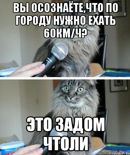 Вы осознаёте,что по городу нужно ехать 60км/ч? Это задом чтоли, Комикс  кот с микрофоном