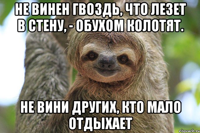 Не винен гвоздь, что лезет в стену, - обухом колотят. Не вини других, кто мало отдыхает, Мем  Ленивец