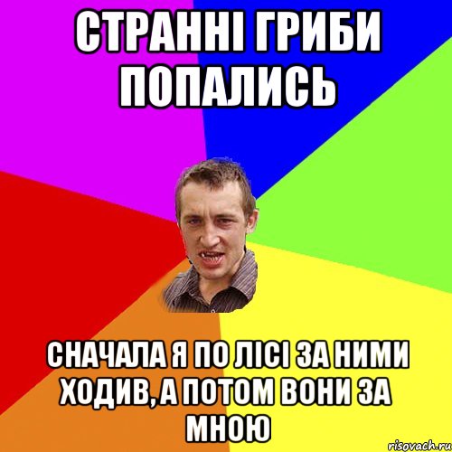 странні гриби попались сначала я по лісі за ними ходив, а потом вони за мною, Мем Чоткий паца