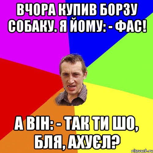 Вчора купив борзу собаку. Я йому: - Фас! А він: - Так ти шо, бля, ахуєл?, Мем Чоткий паца