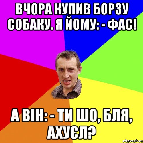 Вчора купив борзу собаку. Я йому: - Фас! А він: - ти шо, бля, ахуєл?, Мем Чоткий паца