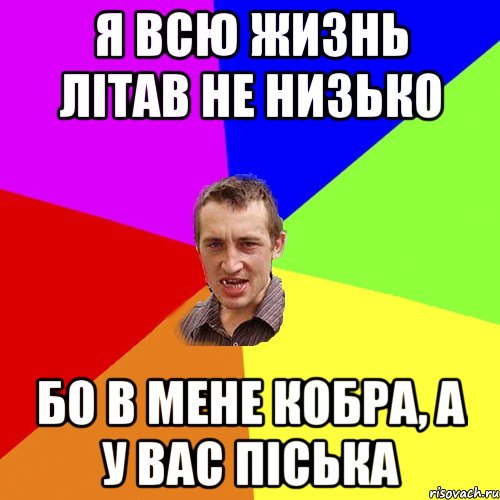 я всю жизнь літав не низько бо в мене кобра, а у вас піська, Мем Чоткий паца