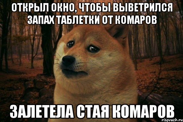 открыл окно, чтобы выветрился запах таблетки от комаров залетела стая комаров, Мем SAD DOGE