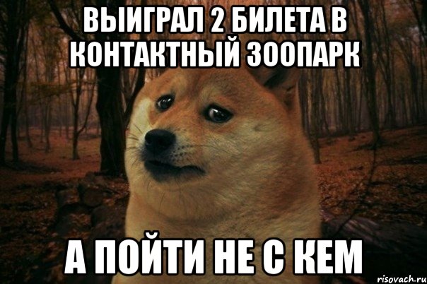 Выиграл 2 билета в контактный зоопарк А пойти не с кем, Мем SAD DOGE