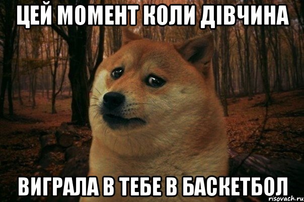 цей момент коли дівчина виграла в тебе в баскетбол, Мем SAD DOGE