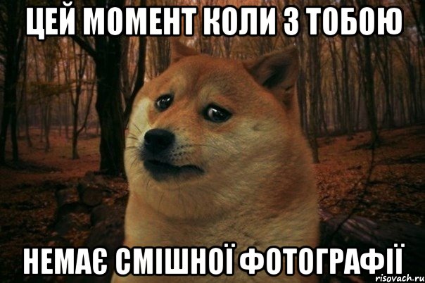 цей момент коли з тобою немає смішної фотографії, Мем SAD DOGE