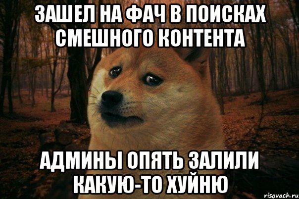 Зашел на фач в поисках смешного контента Админы опять залили какую-то хуйню, Мем SAD DOGE