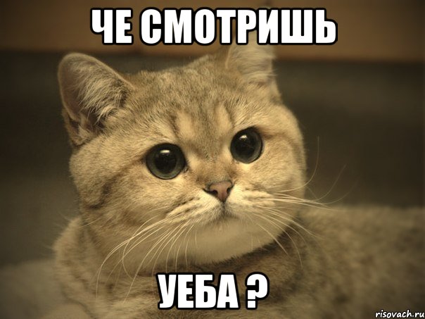 че смотришь уеба ?