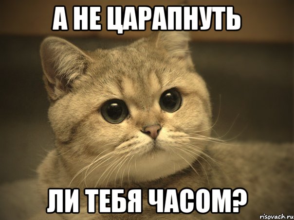 А НЕ ЦАРАПНУТЬ ЛИ ТЕБЯ ЧАСОМ?