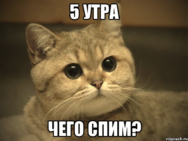 5 утра чего спим?