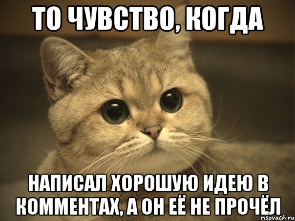 то чувство, когда написал хорошую идею в комментах, а он её не прочёл, Мем Пидрила ебаная котик