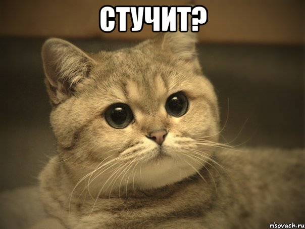 Стучит? 