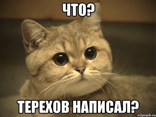 Что? Терехов написал?