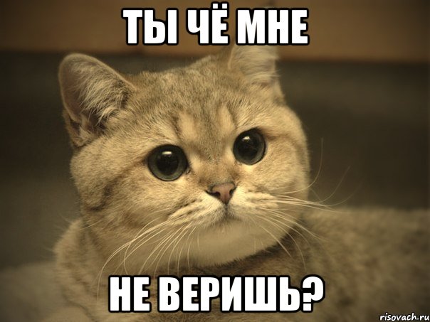 Ты чё мне не веришь?