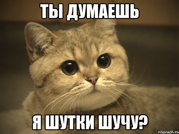 ты думаешь я шутки шучу?