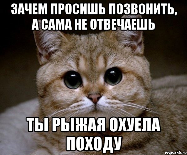 Зачем просишь позвонить, а сама не отвечаешь ты Рыжая охуела походу, Мем Пидрила Ебаная