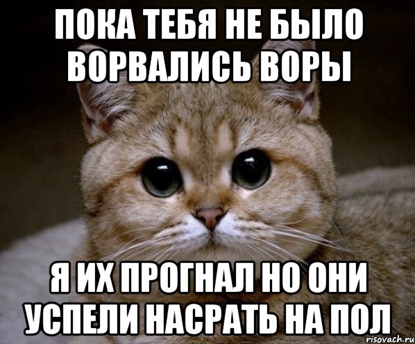 ПОКА ТЕБЯ НЕ БЫЛО ВОРВАЛИСЬ ВОРЫ Я ИХ ПРОГНАЛ НО ОНИ УСПЕЛИ НАСРАТЬ НА ПОЛ, Мем Пидрила Ебаная