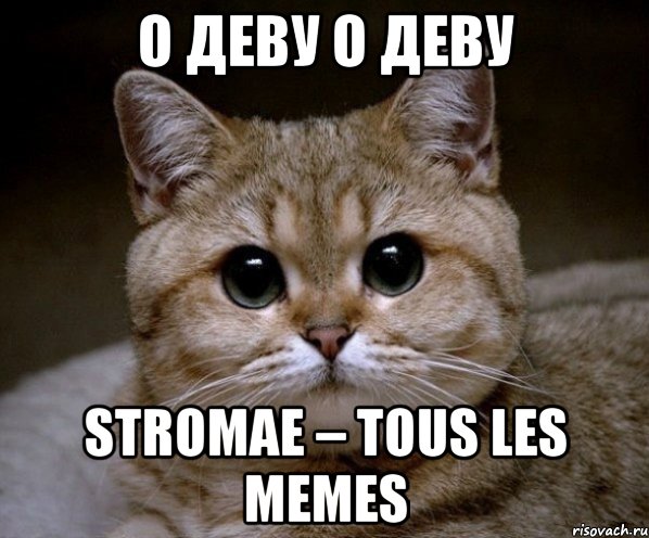 о деву о деву Stromae – Tous Les Memes, Мем Пидрила Ебаная