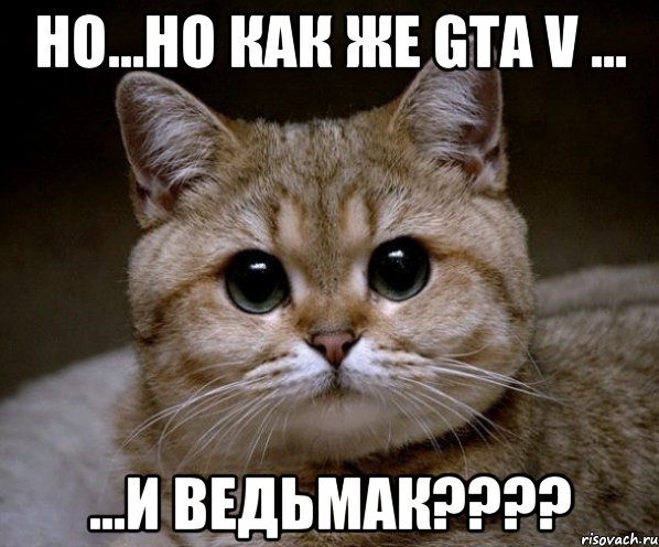 Но...но как же GTA V ... ...и Ведьмак????, Мем Пидрила Ебаная