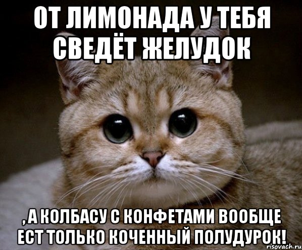 от лимонада у тебя сведёт желудок , а колбасу с конфетами вообще ест только коченный полудурок!, Мем Пидрила Ебаная