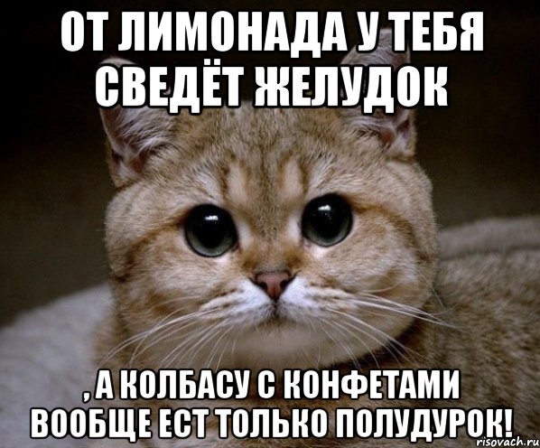 от лимонада у тебя сведёт желудок , а колбасу с конфетами вообще ест только полудурок!, Мем Пидрила Ебаная