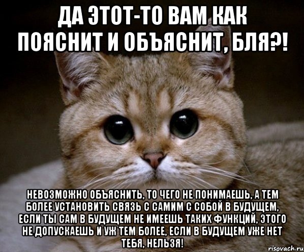 Да этот-то вам как пояснит и объяснит, бля?! Невозможно объяснить, то чего не понимаешь, а тем более установить связь с самим с собой в будущем, если ты сам в будущем не имеешь таких функций, этого не допускаешь и уж тем более, если в будущем уже нет тебя, нельзя!, Мем Пидрила Ебаная