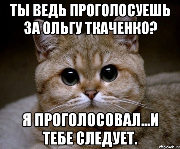 Ты ведь проголосуешь за Ольгу Ткаченко? Я проголосовал...и тебе следует., Мем Пидрила Ебаная