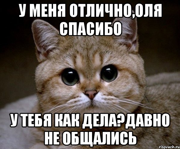 У меня отлично,Оля спасибо У тебя как дела?давно не общались, Мем Пидрила Ебаная