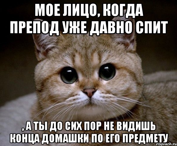 Мое лицо, когда препод уже давно спит , а ты до сих пор не видишь конца домашки по его предмету, Мем Пидрила Ебаная