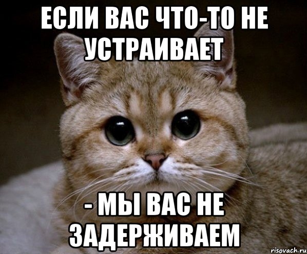 Если вас что-то не устраивает - мы вас не задерживаем, Мем Пидрила Ебаная