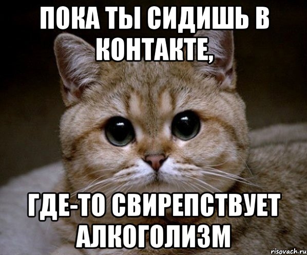 ПОКА ТЫ СИДИШЬ В КОНТАКТЕ, ГДЕ-ТО СВИРЕПСТВУЕТ АЛКОГОЛИЗМ, Мем Пидрила Ебаная