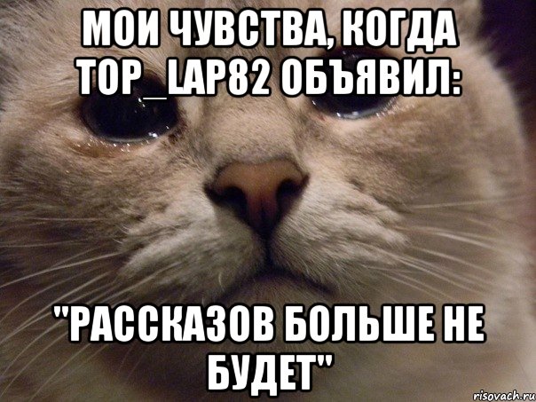 мои чувства, когда top_lap82 объявил: "РАССКАЗОВ БОЛЬШЕ НЕ БУДЕТ", Мем   В мире грустит один котик