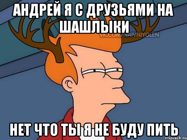 Андрей я с друзьями на шашлыки нет что ты я не буду пить, Мем  Подозрительный олень