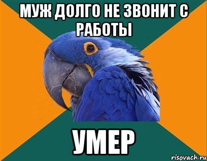 муж долго не звонит с работы УМЕР, Мем Попугай параноик