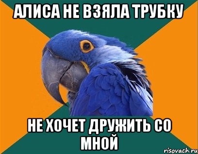 Алиса не взяла трубку не хочет дружить со мной, Мем Попугай параноик