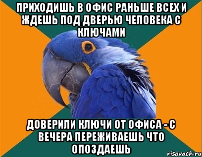 Приходишь в офис раньше всех и ждешь под дверью человека с ключами доверили ключи от офиса - с вечера переживаешь что опоздаешь, Мем Попугай параноик