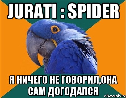 Jurati : Spider Я ничего не говорил,она сам ДОГОДАЛСЯ, Мем Попугай параноик