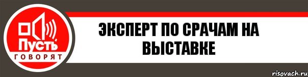 Эксперт по срачам на выставке, Комикс   пусть говорят