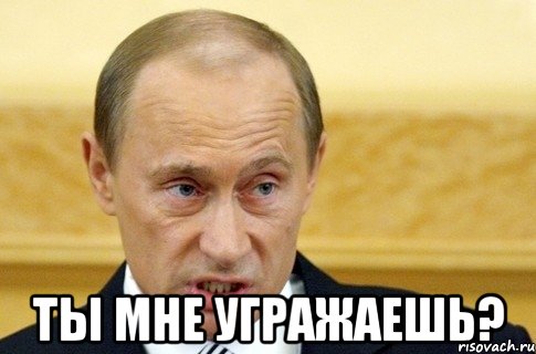  Ты мне угражаешь?, Мем путин