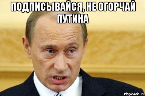 Подписывайся, не огорчай Путина , Мем путин
