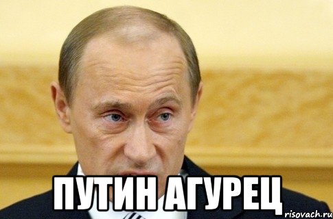  Путин агурец, Мем путин