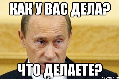 КАК У ВАС ДЕЛА? ЧТО ДЕЛАЕТЕ?, Мем путин