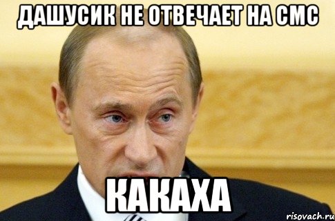 Дашусик не отвечает на смс какаха, Мем путин