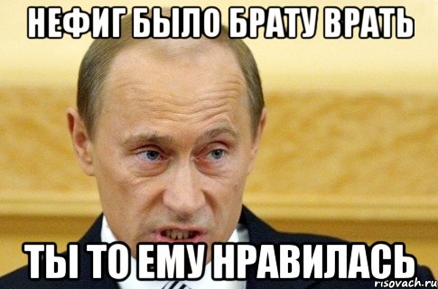 Нефиг было брату врать Ты то ему нравилась, Мем путин